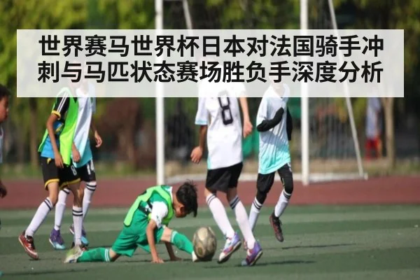 世界赛马世界杯日本对法国骑手冲刺与马匹状态赛场胜负手深度分析