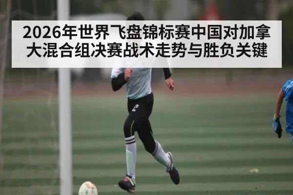 2026年世界飞盘锦标赛中国对加拿大混合组决赛战术走势与胜负关键